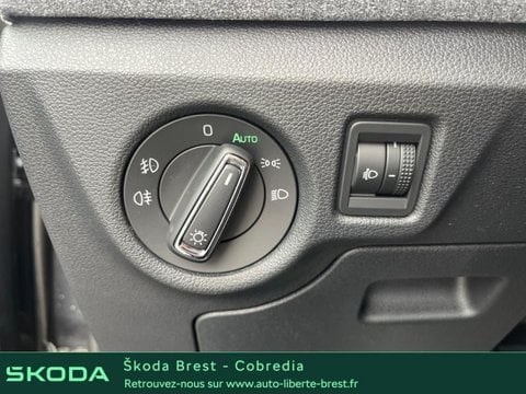 Voitures D'occasion À Brest | Škoda Kamiq 1.0 Tsi Evo 2 95Ch Selection
