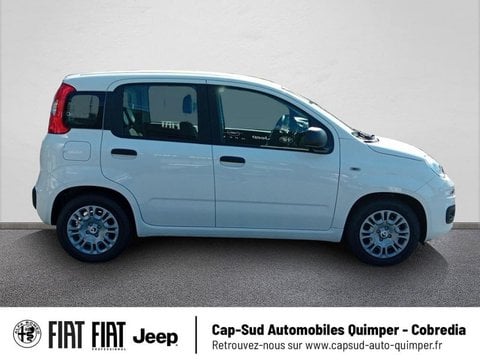 Voitures D'occasion À Quimper | Fiat Panda Pandina 1.0 65Ch Bsg S&S Hybrid Icône