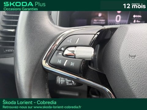 Voitures D'occasion À Lanester | Škoda Karoq 2.0 Tdi 116Ch Scr Business Dsg7