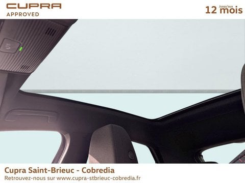 Voitures D'occasion À Saint-Brieuc | Cupra Raval 136Ch 37Kwh Plus