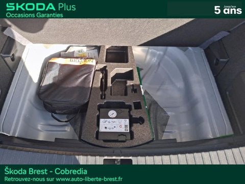 Voitures D'occasion À Brest | Škoda Karoq 1.0 Tsi 110Ch Ambition
