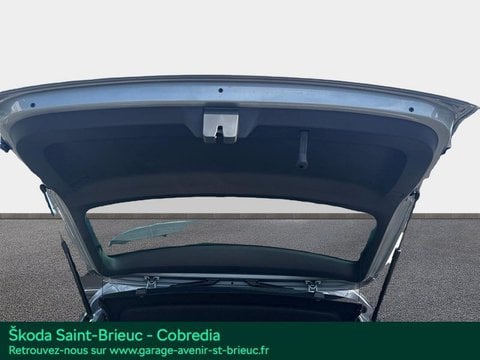 Voitures D'occasion À Saint-Brieuc | Škoda Karoq 2.0 Tdi 150Ch Scr Sportline 4X2 Dsg7
