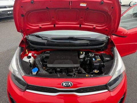 Voitures D'occasion À Dunkerque | Kia Picanto 1.0 67Ch Active Euro6D-T
