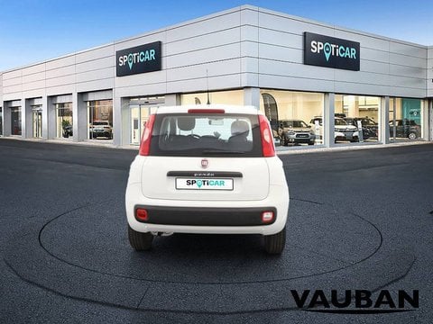 Voitures D'occasion À St-Brice-Sous-Forêt | Fiat Panda Iii 1.2 69 Ch S/S Lounge