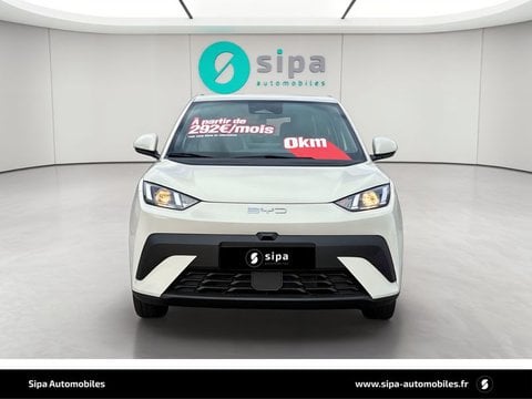 Voitures D'0Km À Le Bouscat | Byd Dolphin Surf 30 Kwh 88 Ch 4 Places Active 5P