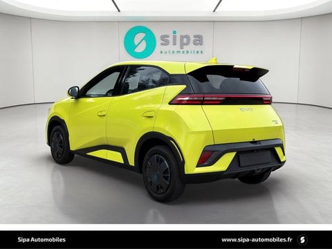 D'0Km À Le Bouscat | Byd Dolphin Surf 30 Kwh 88 Ch Active 5P