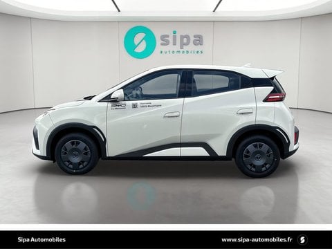 Voitures D'0Km À Le Bouscat | Byd Dolphin Surf 30 Kwh 88 Ch 4 Places Active 5P