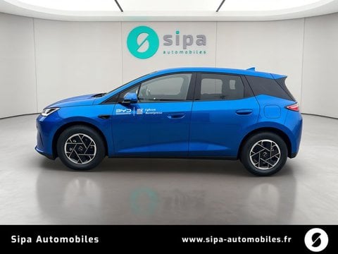 Voitures D'0Km À Mérignac | Byd Dolphin G 1.5 Dm-I Phev 212 Ch Boost 5P
