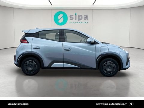 Voitures D'0Km À Mérignac | Byd Dolphin Surf 30 Kwh 88 Ch Active 5P