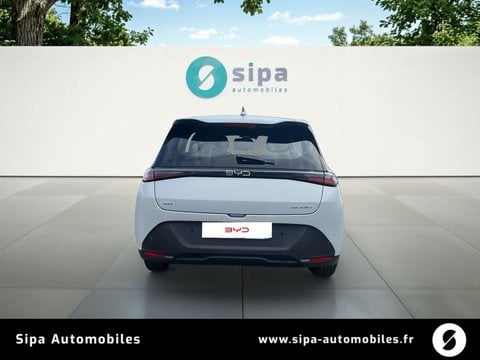 Voitures D'0Km À Mérignac | Byd Dolphin G 1.5 Dm-I Phev 175 Ch Active 5P