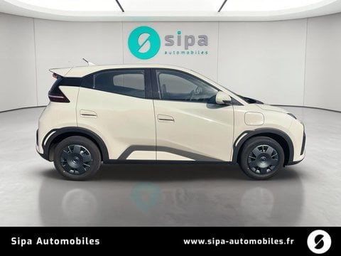 Voitures D'0Km À Mérignac | Byd Dolphin Surf 30 Kwh 88 Ch 4 Places Active 5P
