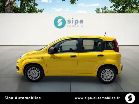 Voitures D'0Km À Mérignac | Fiat Pandina 1.0 65 Ch Hybrid Bsg S/S Icône 5P