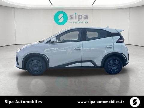 Voitures D'0Km À Mérignac | Byd Dolphin Surf 30 Kwh 88 Ch 4 Places Active 5P