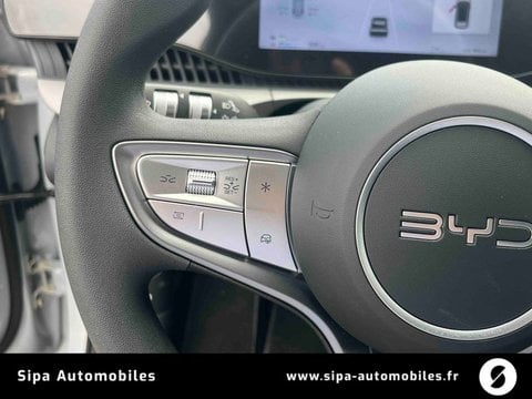 Voitures D'0Km À Mérignac | Byd Dolphin G 1.5 Dm-I Phev 175 Ch Active 5P