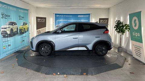 Voitures D'0Km À Fenouillet | Byd Dolphin Surf 43.2 Kwh 156 Ch Comfort 5P