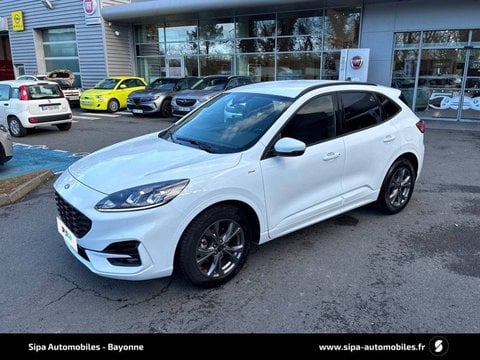 Voitures D'occasion À Bayonne | Ford Kuga 2.5 Duratec 190 Ch Flexifuel Fhev E85 Powershift St-Li...