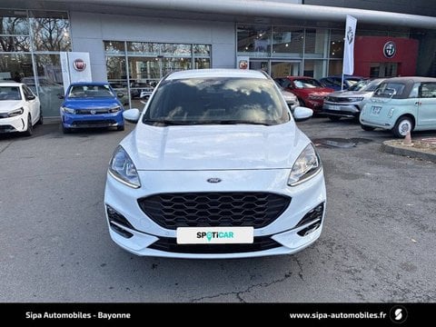 Voitures D'occasion À Bayonne | Ford Kuga 2.5 Duratec 190 Ch Flexifuel Fhev E85 Powershift St-Li...