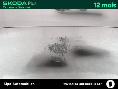Voitures D'occasion À Lescar | Škoda Karoq 1.5 Tsi Evo 2 150 Ch Act Dsg7 Selection 5P