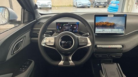 Voitures D'0Km À Fenouillet | Byd Dolphin Surf 43.2 Kwh 156 Ch Comfort 5P