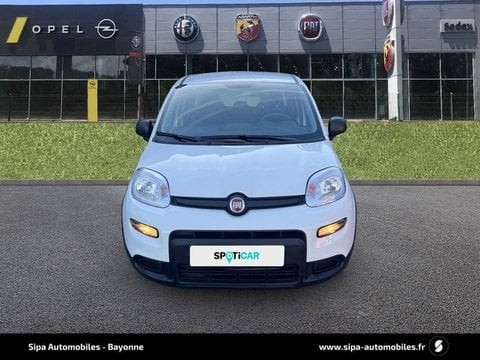 Voitures D'occasion À Bayonne | Fiat Panda 1.0 70 Ch Hybrid Bsg S/S 5P
