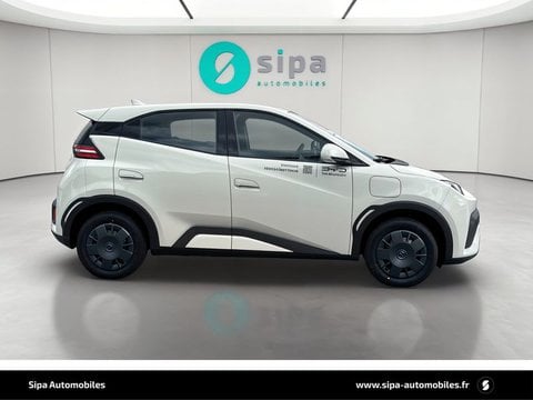 Voitures D'0Km À Le Bouscat | Byd Dolphin Surf 30 Kwh 88 Ch 4 Places Active 5P