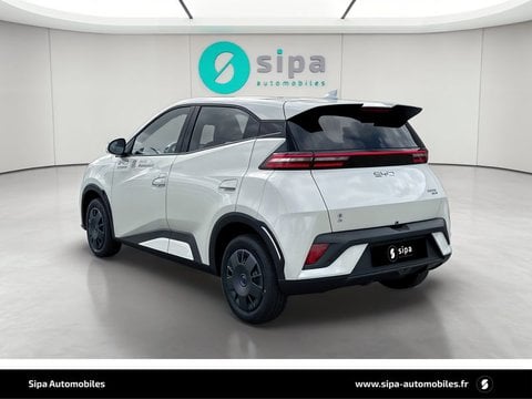 Voitures D'0Km À Le Bouscat | Byd Dolphin Surf 30 Kwh 88 Ch 4 Places Active 5P